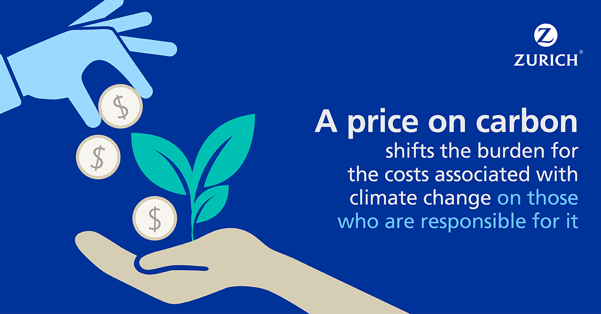Carbon pricing Incentivizing a lowcarb lifestyle